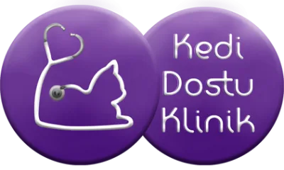 Cat Hospital Kedi Hastanesi