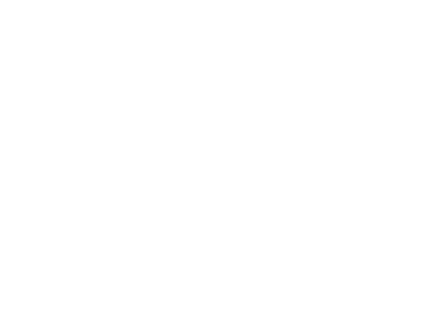Siltaş Twins